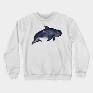 Cozy Blunt-Snouted Dolphin Crewneck Sweatshirt